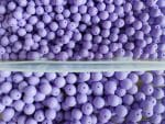Perle Matted 6 mm e 8 mm