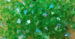 Peridot Glitter