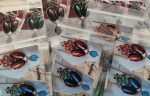 Kit ciondolo Rayna Caribbean Blue/Old Red - immagine 2