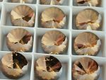 Rivoli SW 14 mm Crystal Bronze - immagine 2