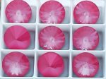 Rivoli SW 14 mm Crystal Dahlia Ignite - immagine 2