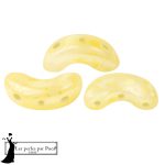 Arcos par Puca Mishmash Yellow 5 gr